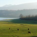 Lake Plastira