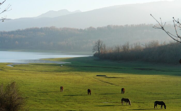 Lake Plastira