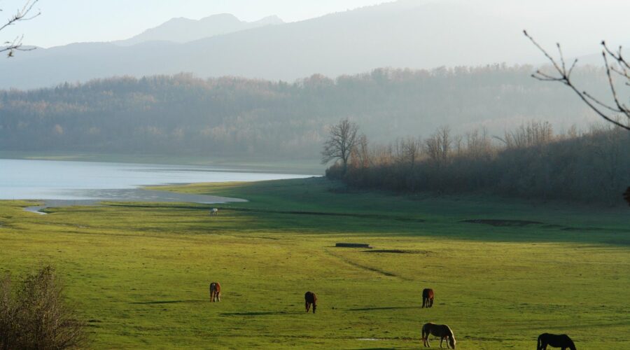 Lake Plastira